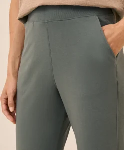 Organic Airplane Jogger